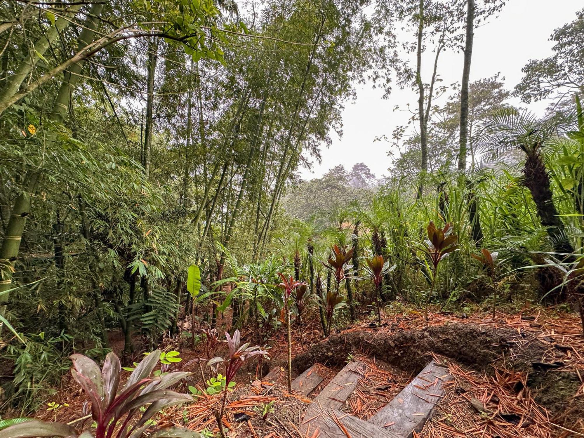 El Nido Andino La Mesa (Tequendama)