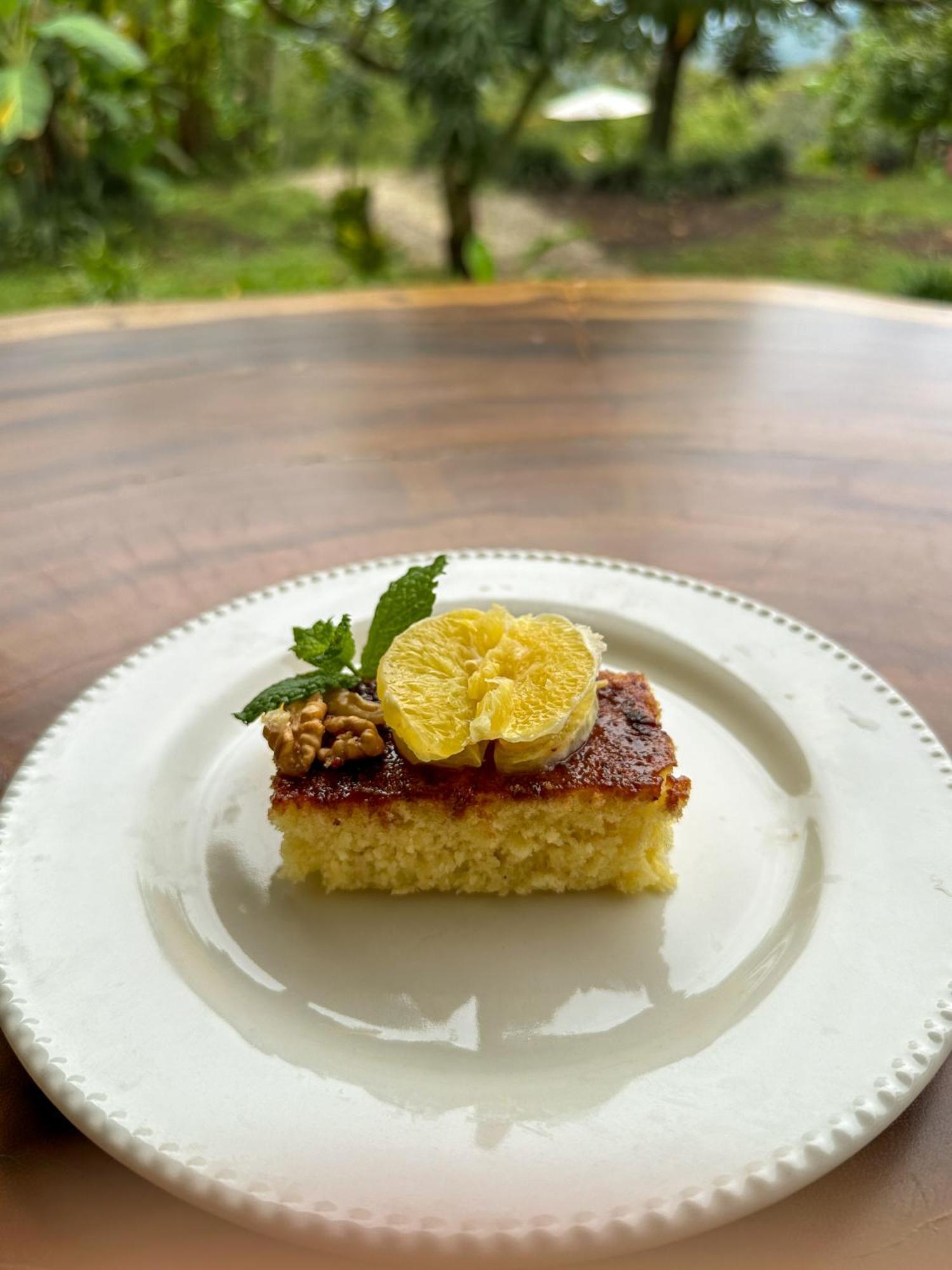 Country house El Nido Andino La Mesa (Tequendama)