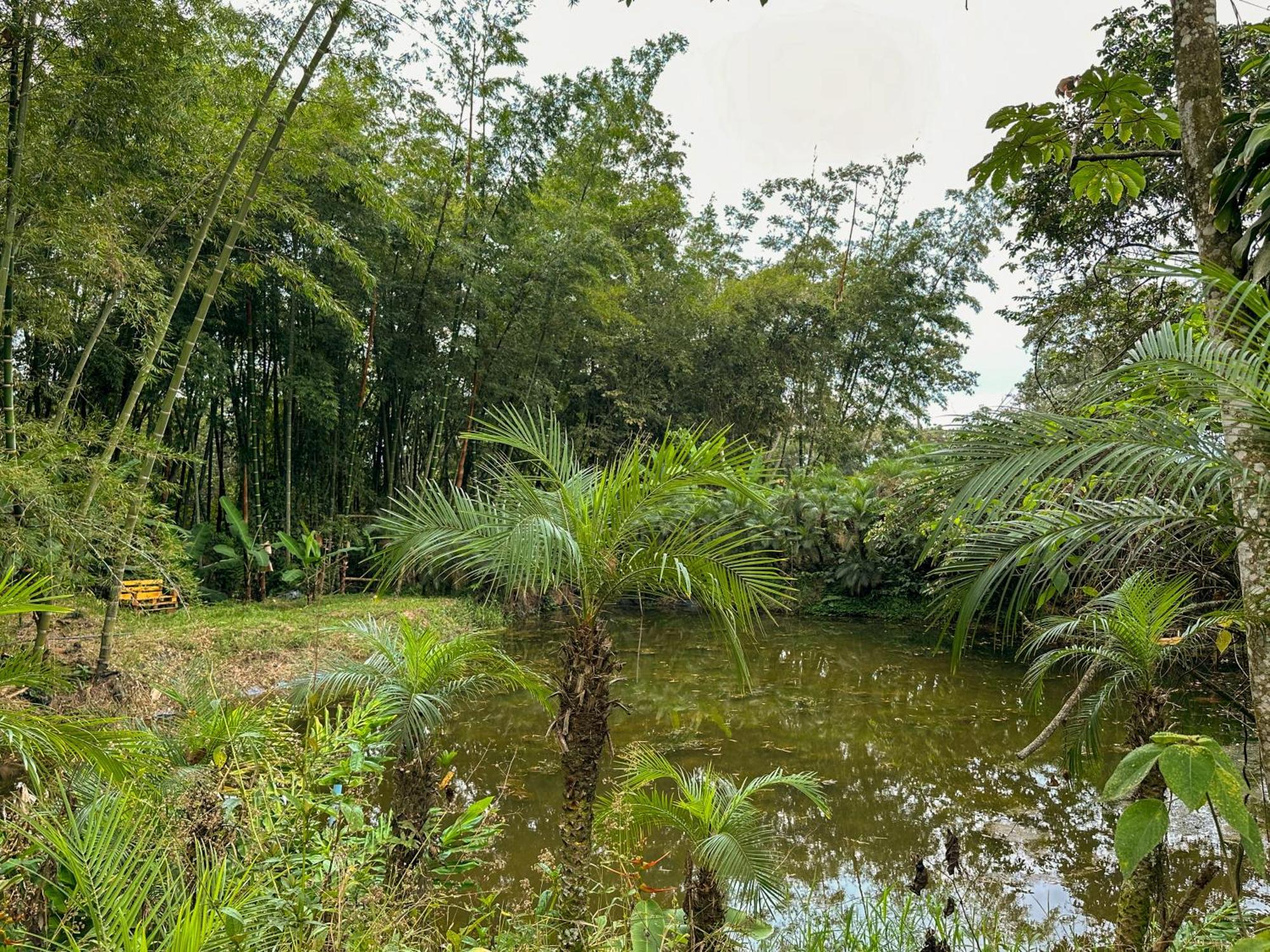 El Nido Andino