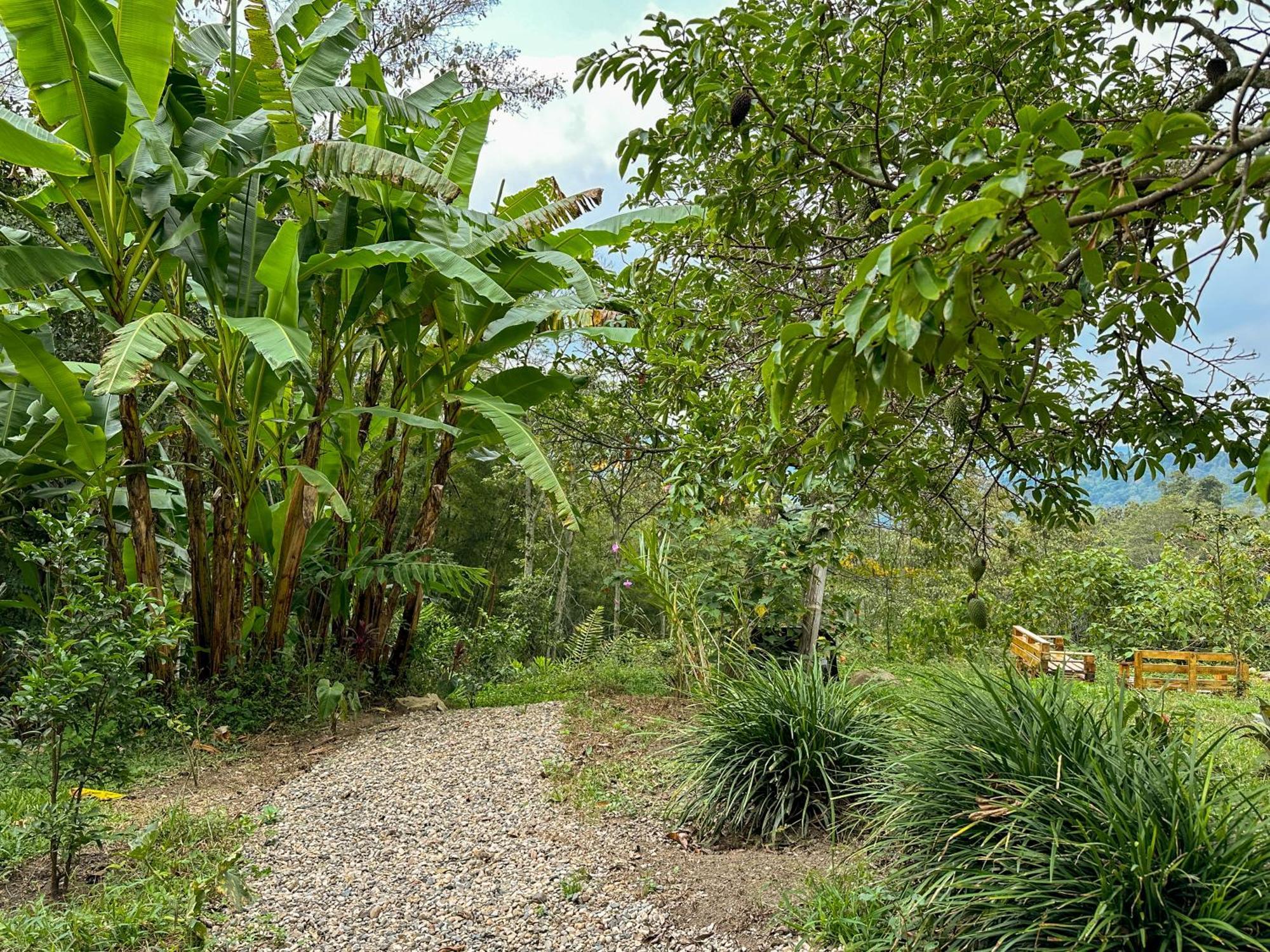 El Nido Andino Country house La Mesa (Tequendama)