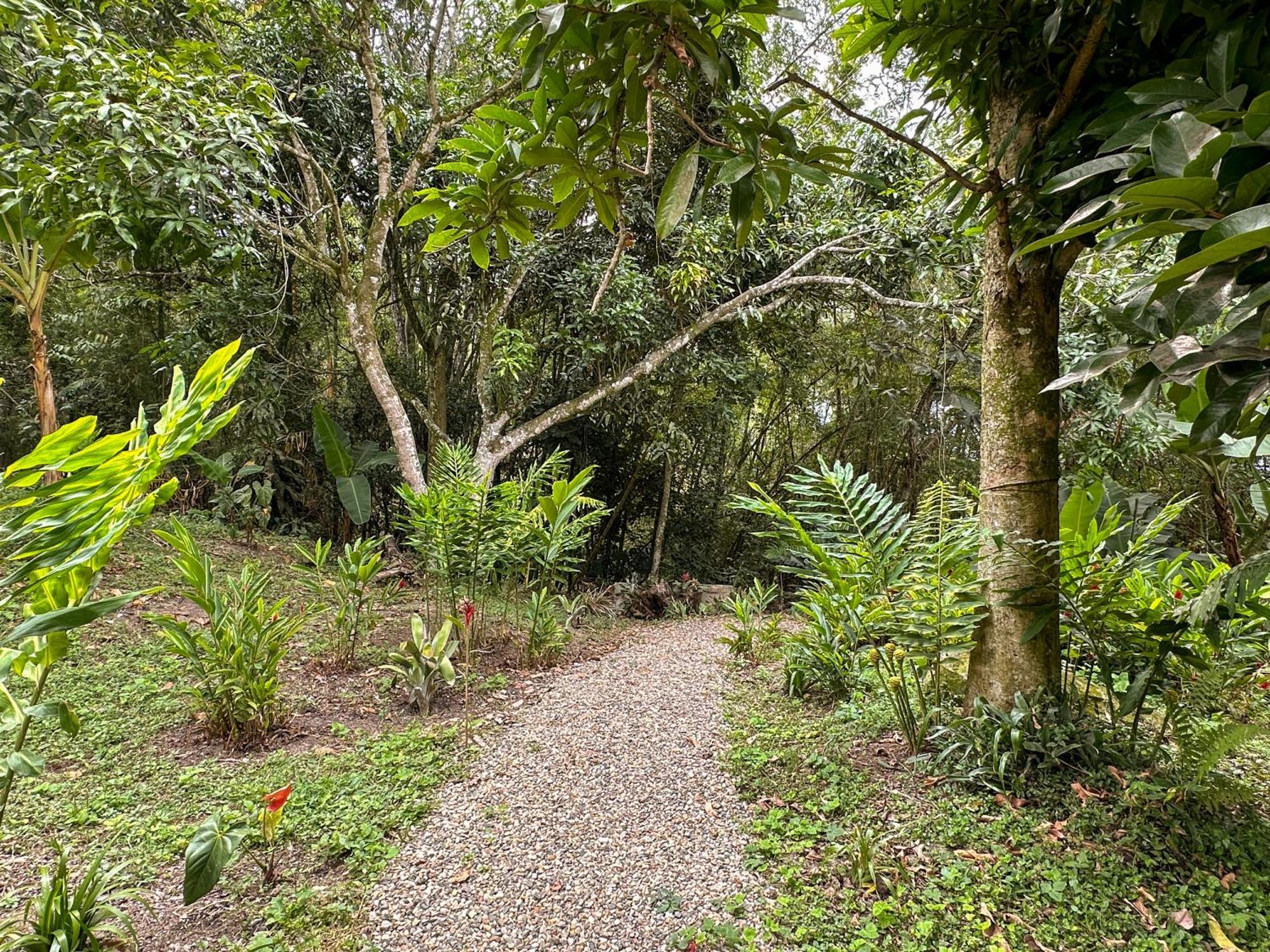 Country house El Nido Andino La Mesa (Tequendama)