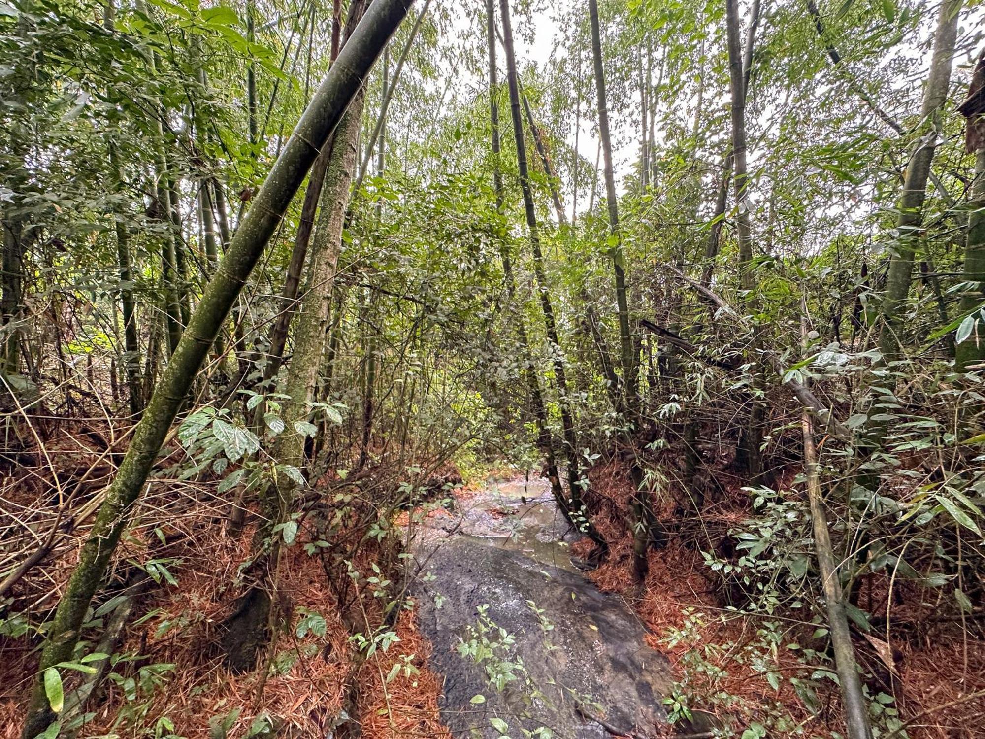 Landhaus El Nido Andino